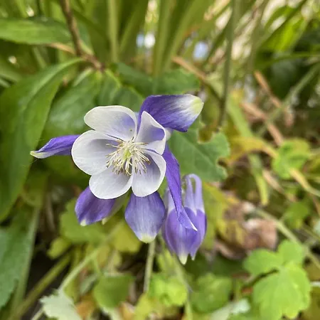 Holiday home Le Moulin De Cherre Bleu